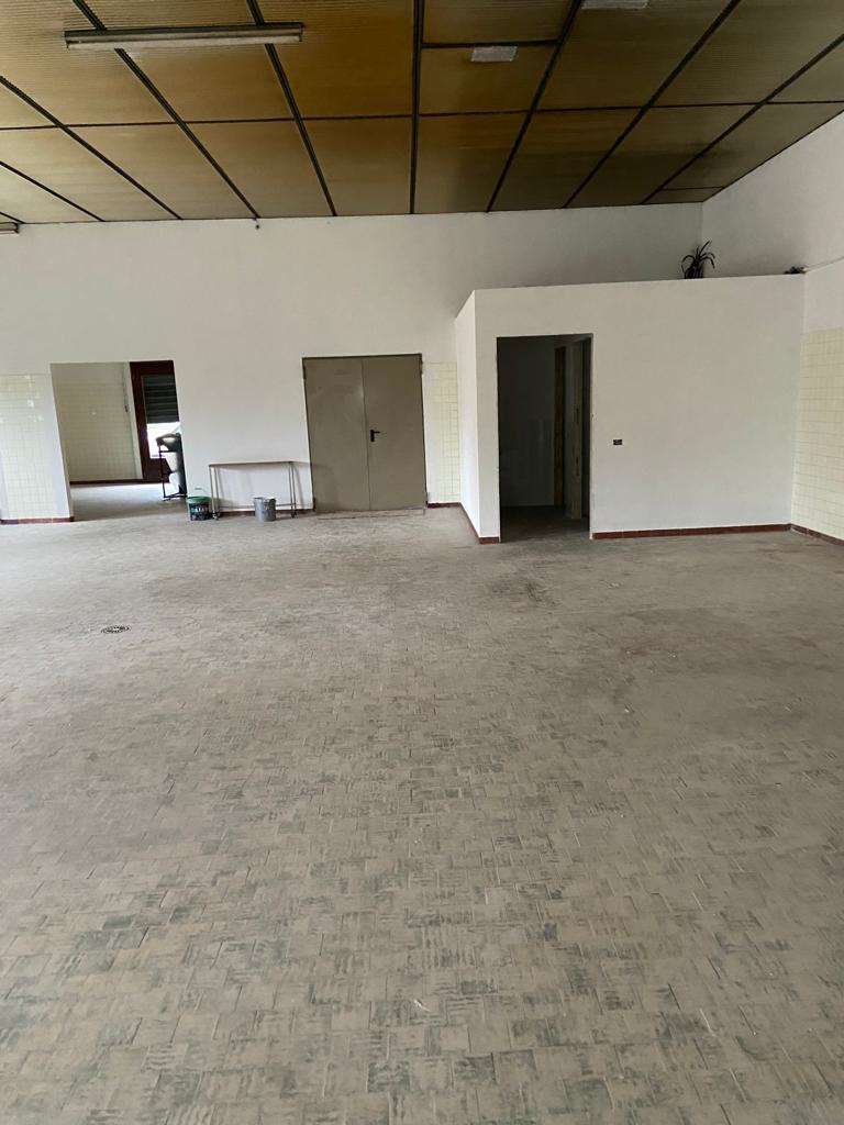 imm_7062-20251007103210-1024